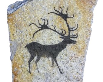 Deer Cave Painting At PaintingValley Com Explore Collection Of Deer   Deer Cave Painting 19 