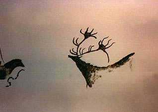 318x226 Murals - Deer Cave Painting