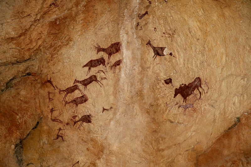 800x533 The Mediterranean Cavert Paintings In Valencia Province Ven - Deer Cave Painting