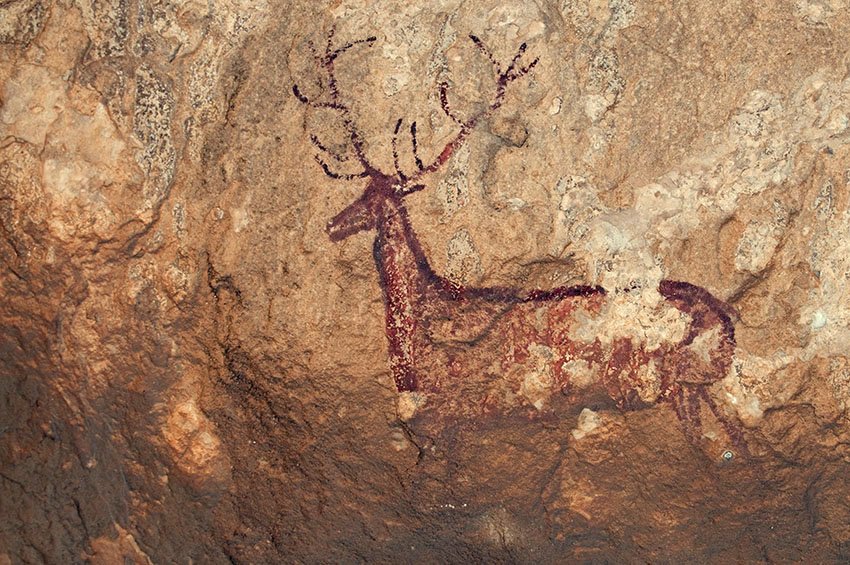 Deer Cave Painting At PaintingValley Com Explore Collection Of Deer   Deer Cave Painting 9 