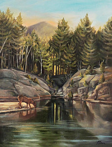 229x300 Deer Drinking Water Paintings Fine Art America - Deer Drinking Water Painting