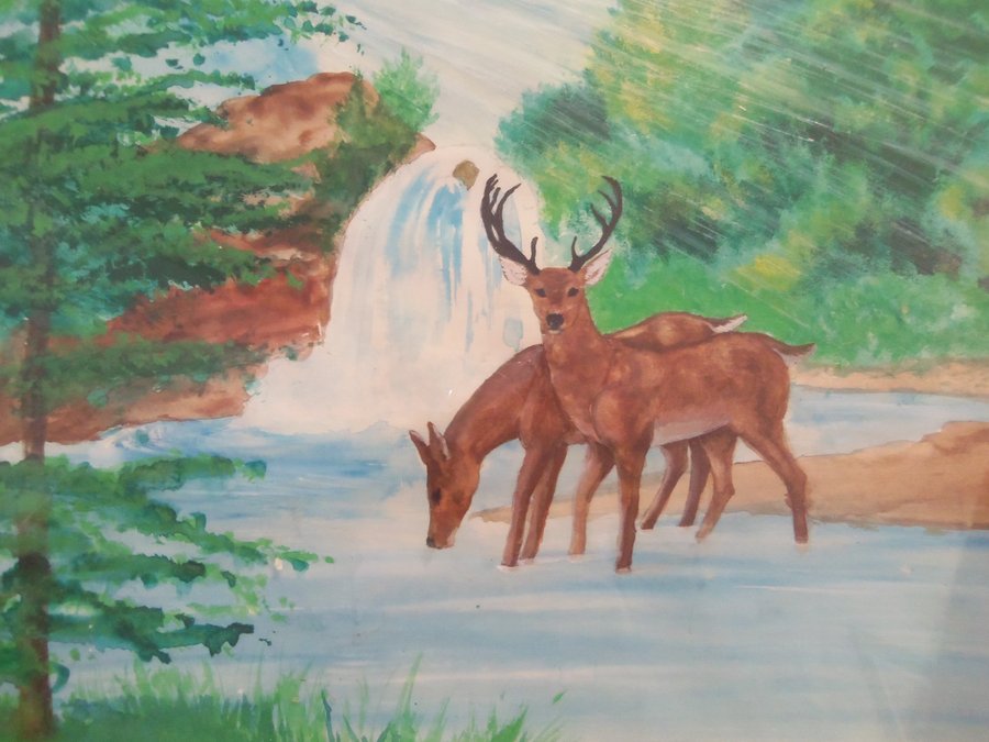900x675 Water Color Deer By Lwinslow - Deer Drinking Water Painting