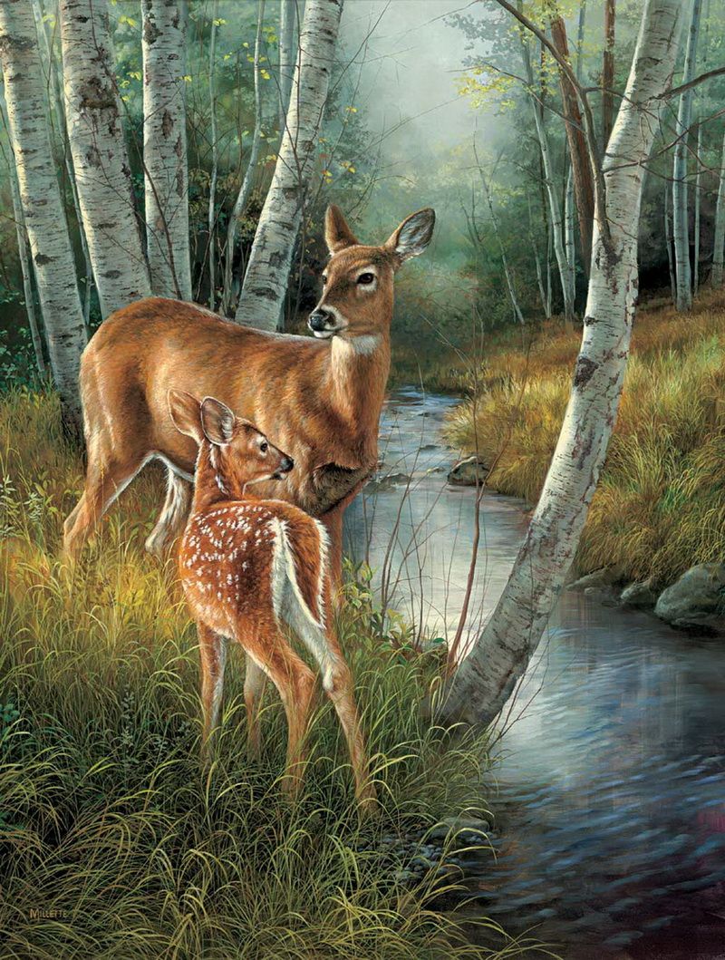 Deer Drinking Water Painting at Explore collection