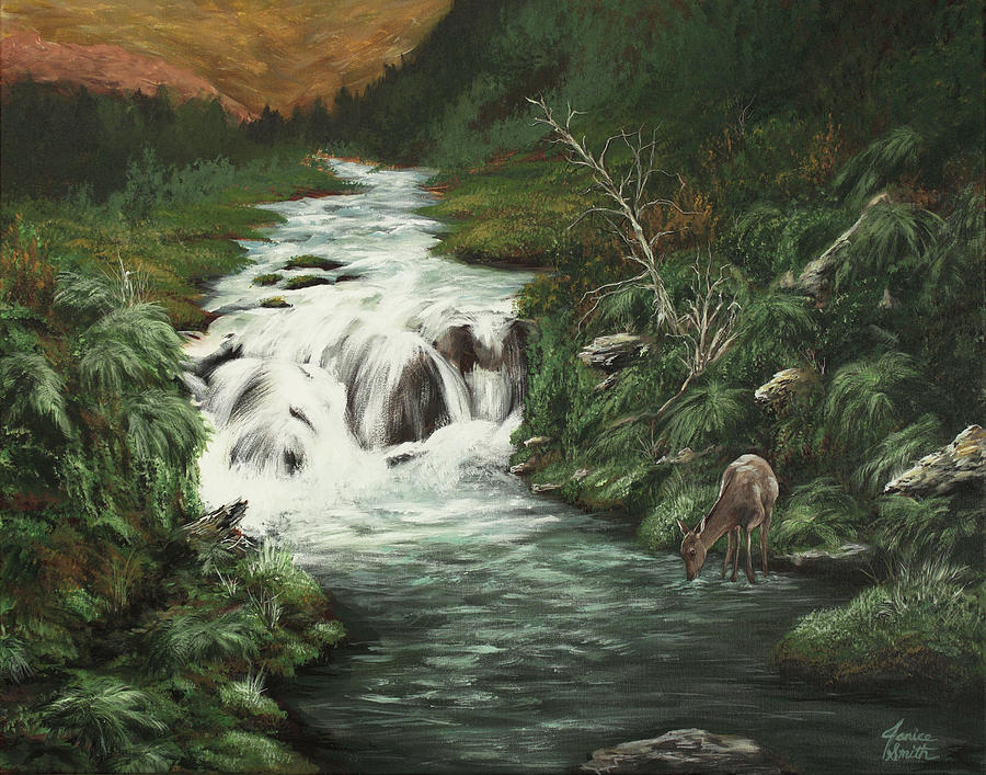 900x707 Deer Creek Painting By Janice Smith - Deer Drinking Water Painting