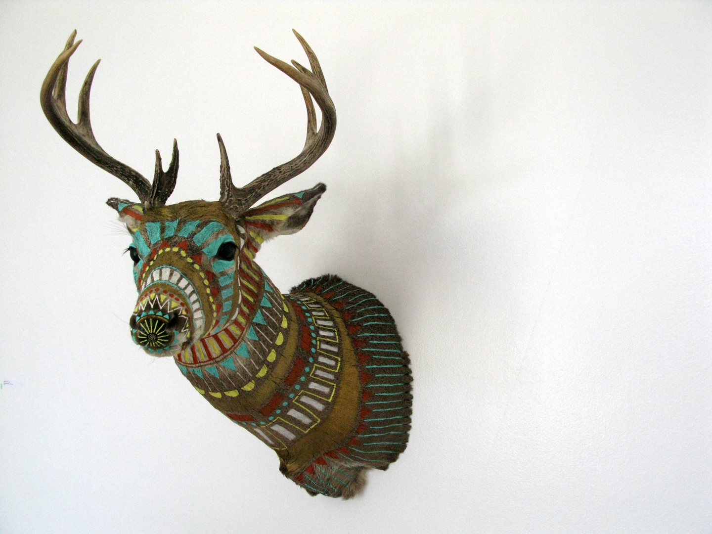 1440x1080 Hand Painted Taxidermy Deer Head - Deer Head Painting