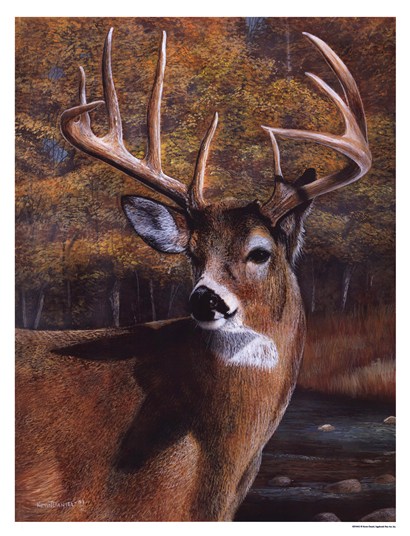 410x536 Deer Head - Deer Head Painting