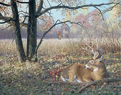 400x314 The Buck Stops Here Deer Hunting Original Acrylic Painting Wild - Deer Hunting Painting