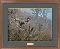 200x162 Whitetail Deer Prints By Michael Sieve - Deer Hunting Painting
