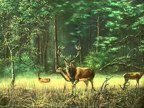 480x360 Wildlife Painting 4, Red Deer - Deer In Forest Painting