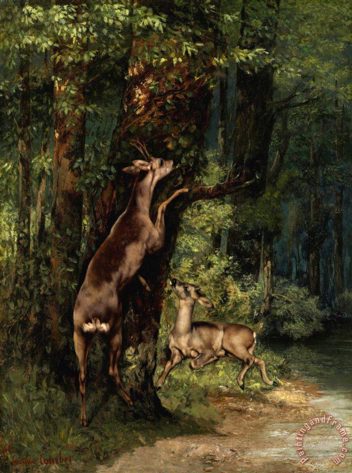 714x960 Courbet, Gustave Deer In The Forest Painting - Deer In Forest Painting