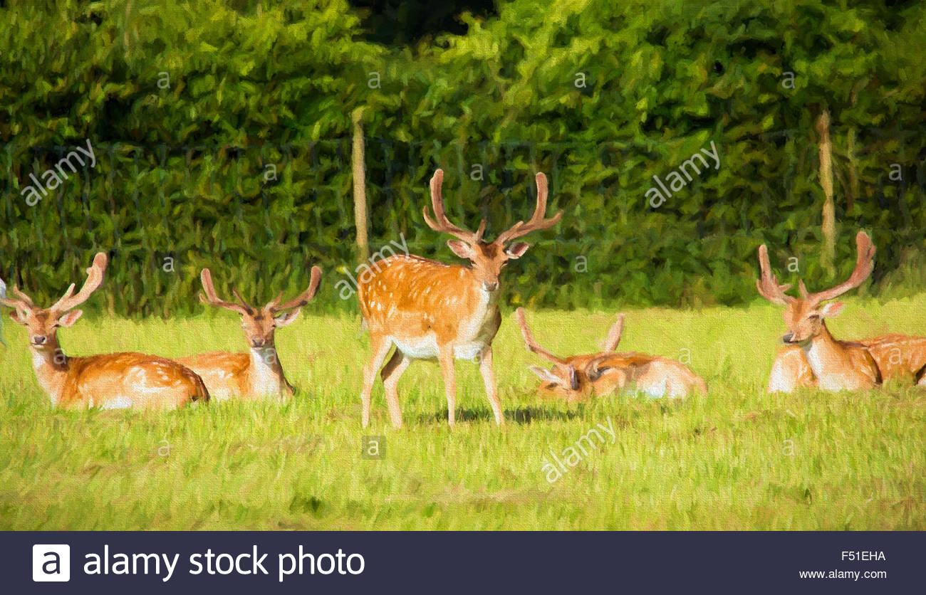 1300x836 Deer Forest Painting Stock Photos Amp Deer Forest Painting Stock - Deer In The Forest Painting