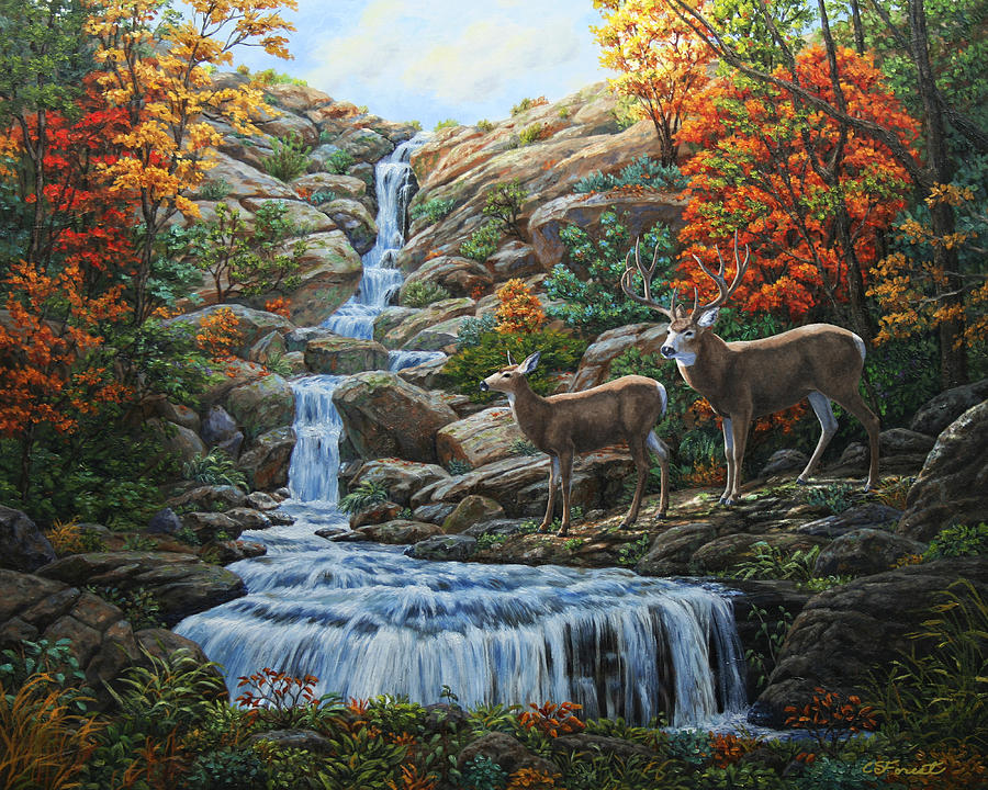 900x720 Deer Painting - Deer In The Forest Painting