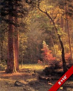 240x300 Woodland Forest In Autumn Fall Amp Young Deer Doe Painting Art Real - Deer In The Forest Painting