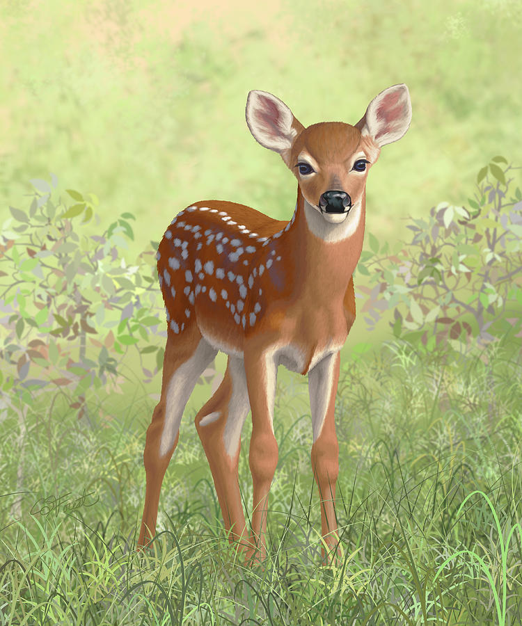 750x900 Cute Whitetail Deer Fawn Painting By Crista Forest - Deer In The Forest Painting