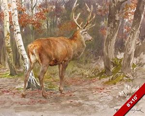 300x240 Stag Watching In The Woods Forest Deer Oil Painting Art Real - Deer In The Woods Painting