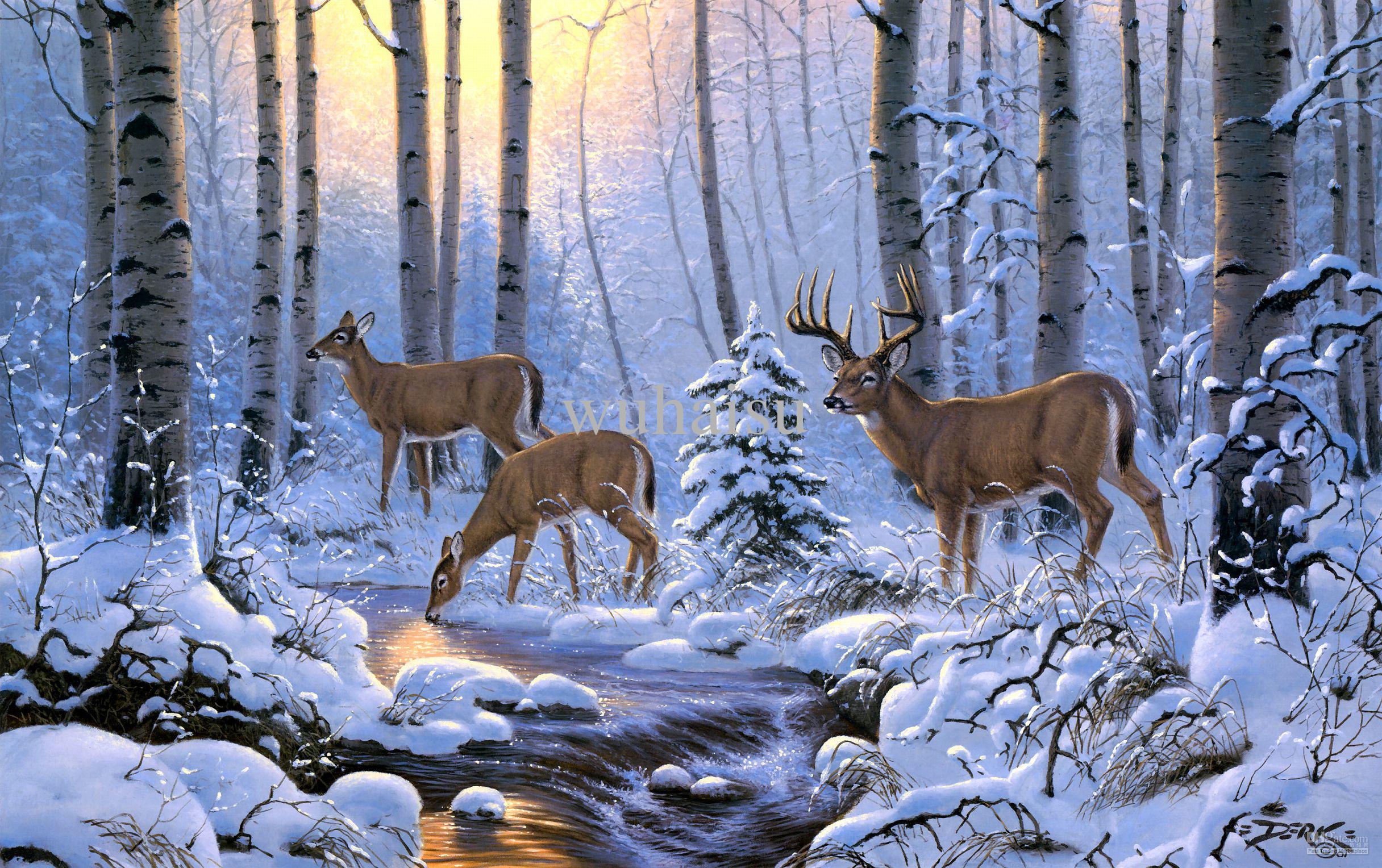 Deer In Woods Painting At PaintingValley Com Explore Collection Of   Deer In Woods Painting 1 