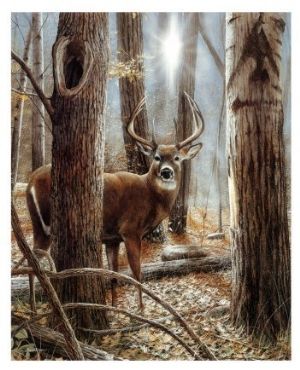 300x370 Deer Paintings Smith Medium Handmade Deer Painting Stephen Lyman - Deer In Woods Painting