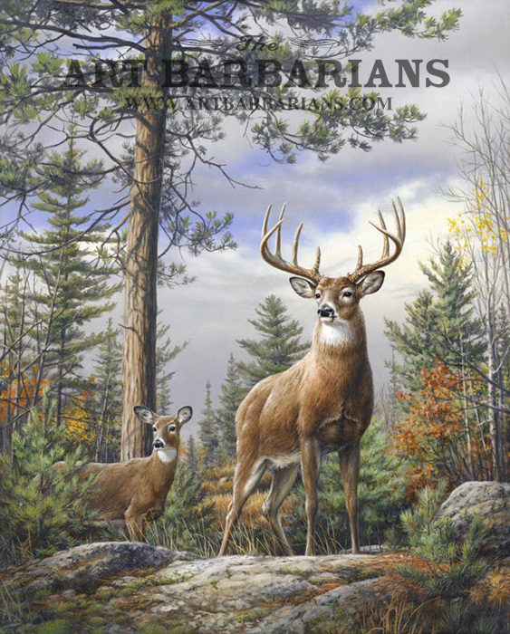 563x700 Wildlife Art Prints Plus Original Paintings With A Wide Selection - Deer In Woods Painting