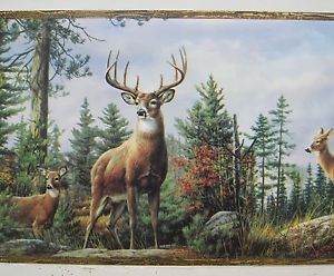 300x248 Deer Buck Doe In The Woods Hunting Wallpaper Border 8 - Deer In Woods Painting