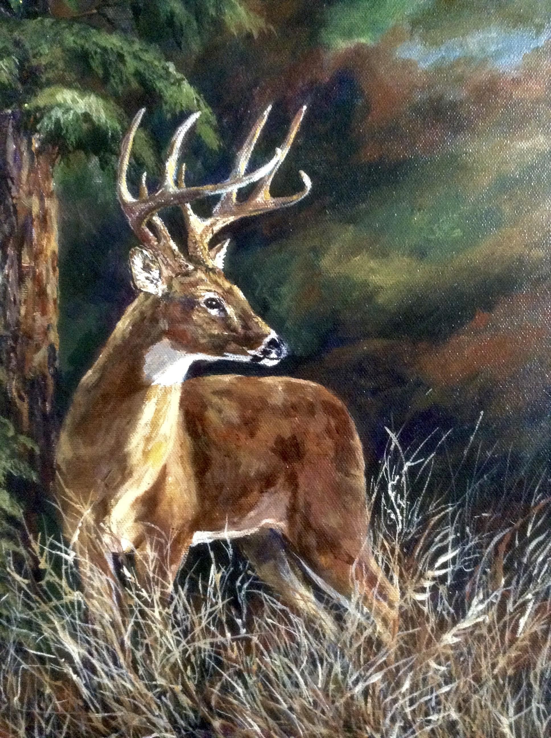 1936x2592 Donna Harris, Deer Buck In A Forest, Oil Painting On Canvas Art - Deer Oil Painting