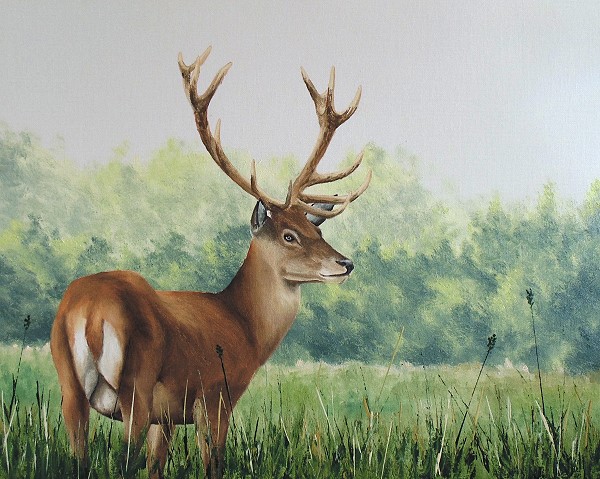 600x479 How To Paint A Deer In Oil - Deer Oil Painting