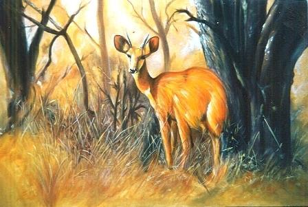 448x301 Oil Paintings - Deer Oil Painting