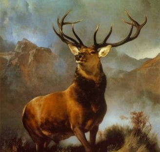 328x311 The Staring Deer Oil Painting Op Cl4 446 - Deer Oil Painting