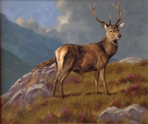 500x419 Canvas Painting - Deer Oil Painting
