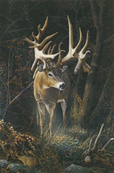 366x555 Deer - Deer Painting
