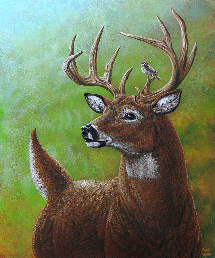 748x900 Deer And Sparrow Painting By Cara Bevan - Deer Painting