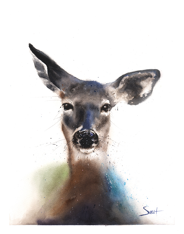 600x764 Deer Watercolor Print Watercolor Animal Paintings - Deer Painting