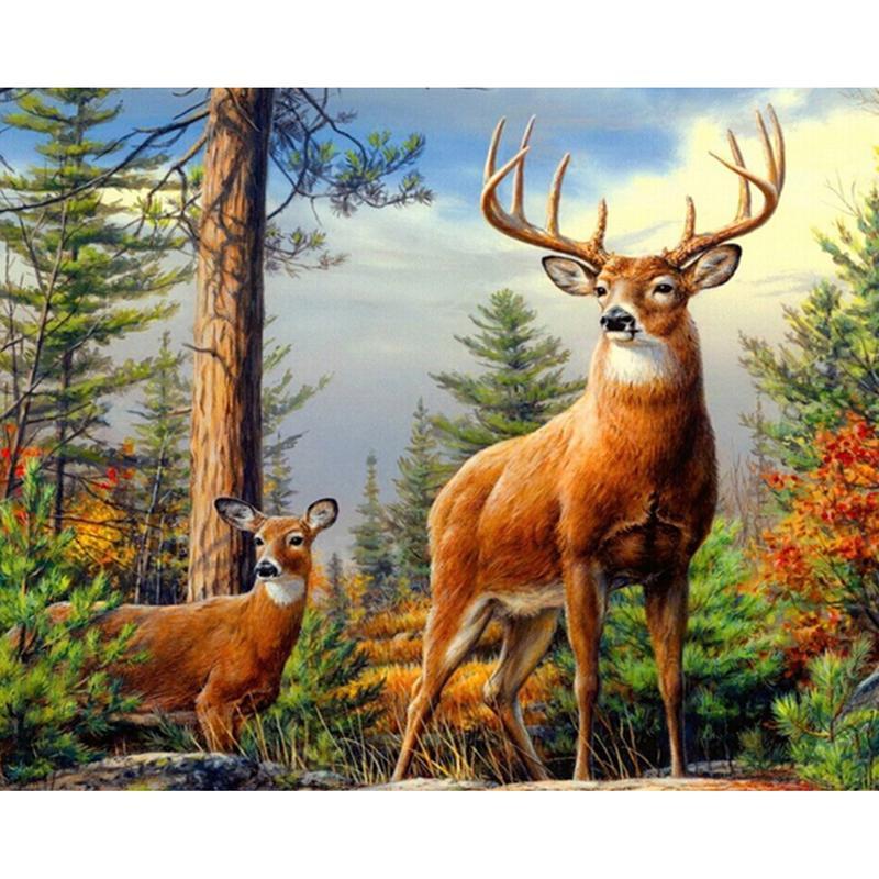 800x800 Deer In The Forest - Deer Painting