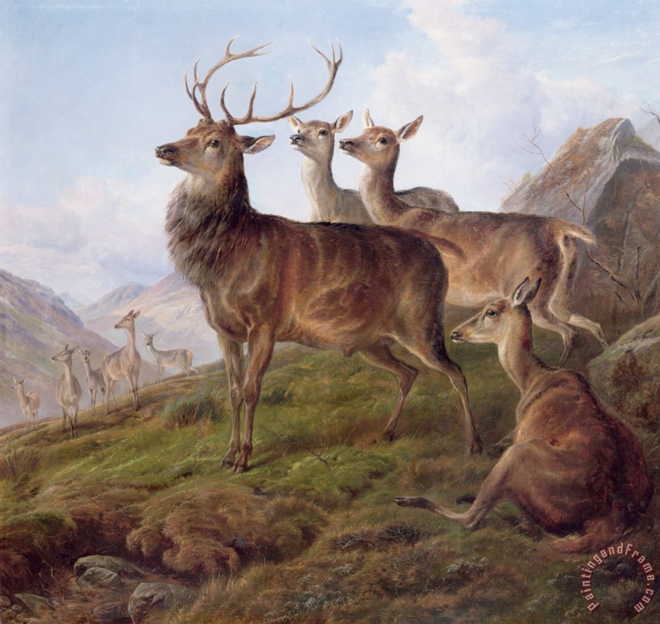 960x908 Charles Jones Red Deer In A Highland Landscape Painting - Deer Painting