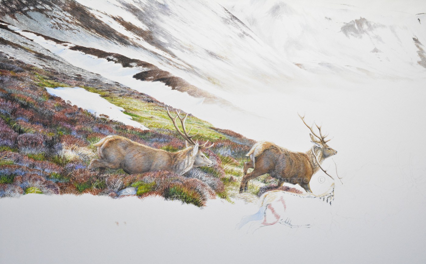1400x868 Red Deer Painting The Hazel Tree - Deer Painting Images