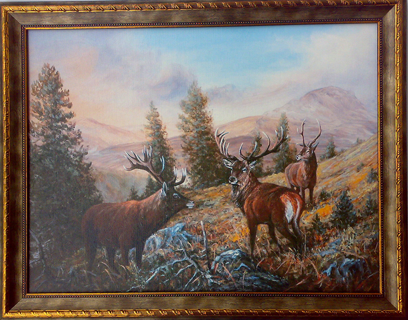 800x628 Hunting, Wildlife Red Deer, Mountain, Painting - Deer Painting Images