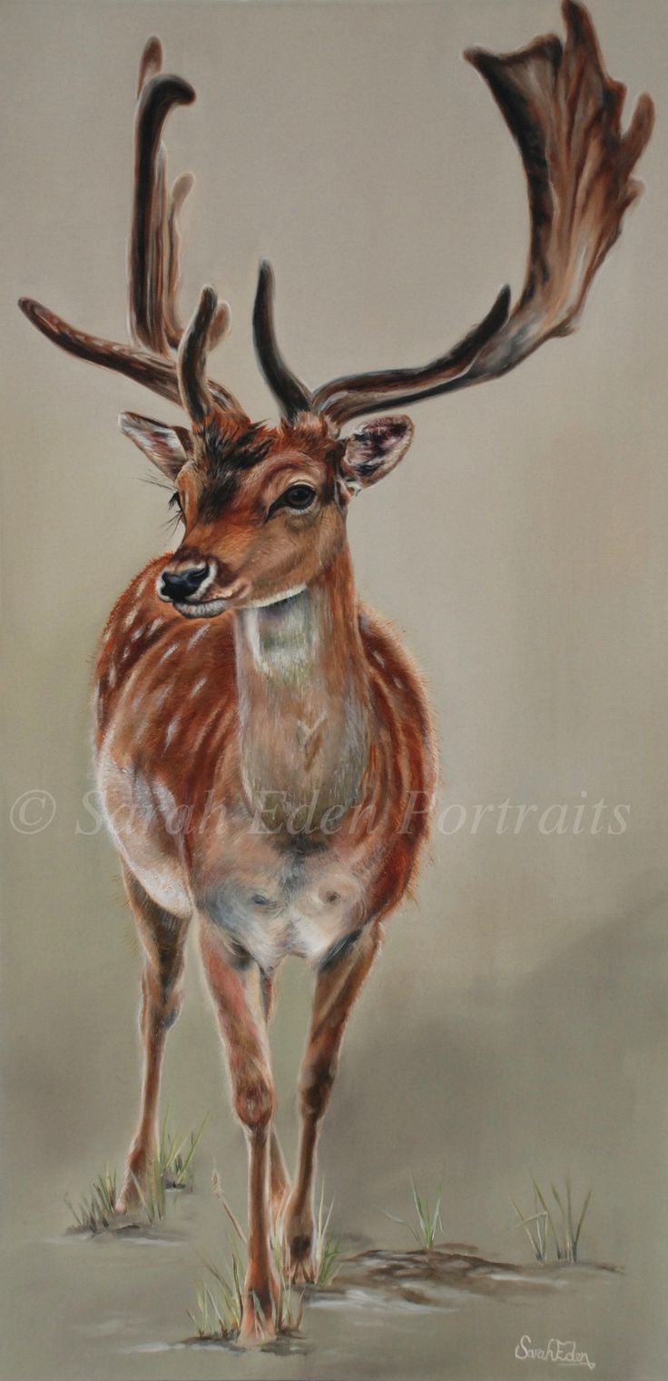 736x1520 Deer Paintings On Canvas - Deer Painting On Canvas