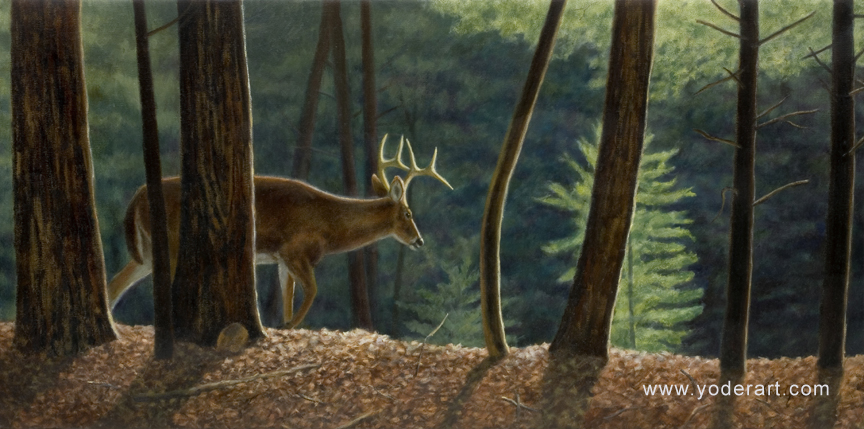 864x429 Quiet Morning Deer Painting By Lynn Yoder - Deer Painting On Canvas