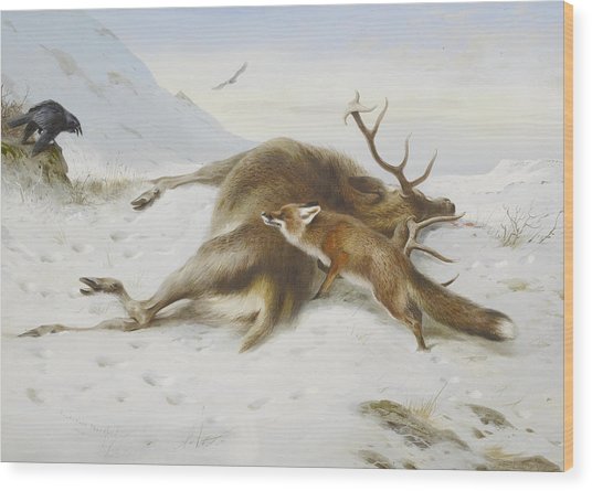 536x445 1904 Vintage Deer Painting Painting By Sheila Savage - Deer Painting On Wood