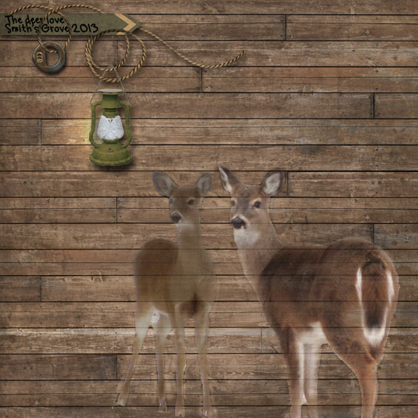 600x600 Deer On Painted Wood - Deer Painting On Wood