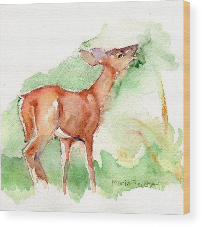 655x735 Deer Painting In Watercolor Wood Print By Maria's Watercolor - Deer Painting On Wood