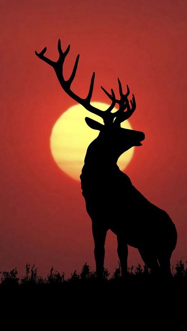640x1136 Sunset Deer Silhouette. I Really Have To Call This One Elk - Deer Silhouette Painting