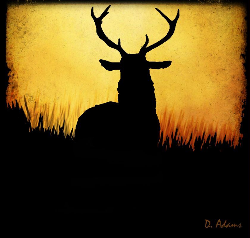 841x800 Deer Silhouette Painting - Deer Silhouette Painting