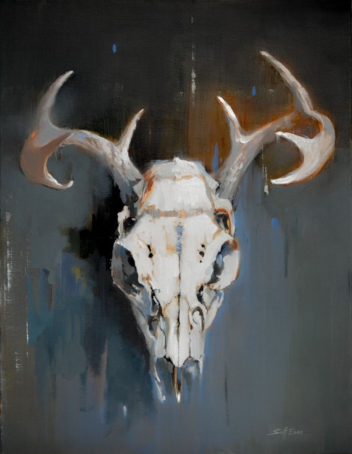 699x900 Deer Skull 18 X 24 Oil On Canvas Painting Deer - Deer Skull Canvas Painting