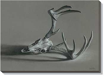 350x257 Modern Lodge Wrapped Canvases Art Prints Wild Wings - Deer Skull Canvas Painting