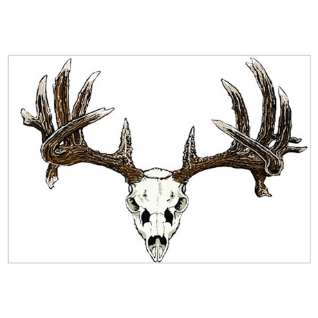460x460 White Tail Deer Skull Drawing Canvas Art - Deer Skull Canvas Painting