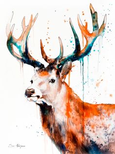 236x314 White Tailed Deer Fine Art Digital Print Archival Quality - Deer Watercolor Painting