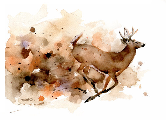 570x414 Whitetail Buck Art Print Deer Watercolor Painting - Deer Watercolor Painting