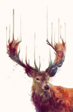 236x358 Watercolor Deer - Deer Watercolor Painting