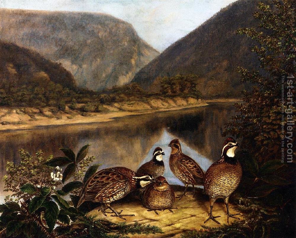 1000x804 Five Bobwhites - Delaware Water Gap Painting