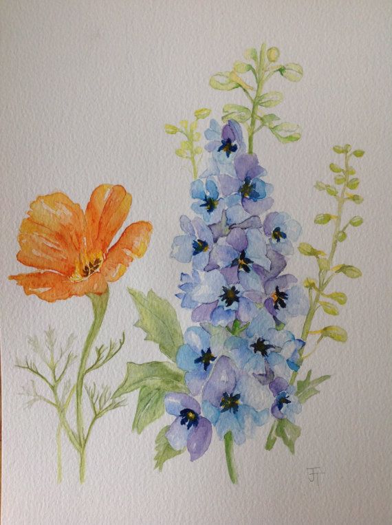 570x763 Original Watercolour Painting Blue Delphinium And By Anjeliart - Delphinium Painting